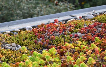 the cost of Whitesides Corner green roof installation