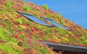 Whitesides Corner living roof systems