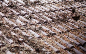 Whitesides Corner roof cleaning companies