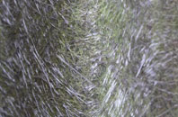 Whitesides Corner fibreglass roof work